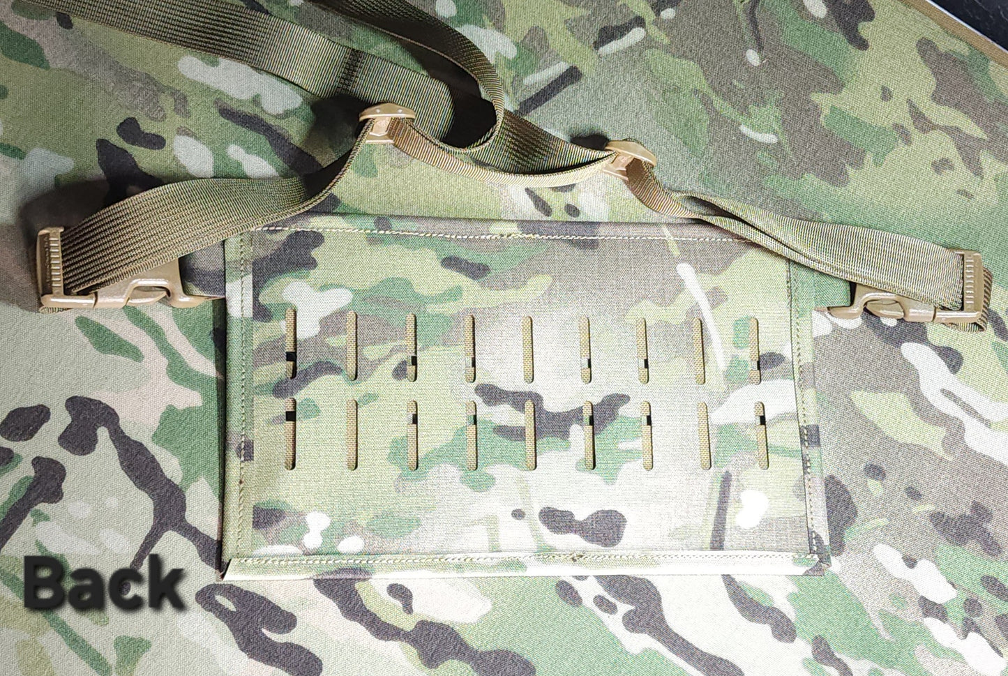 Fanny Panel